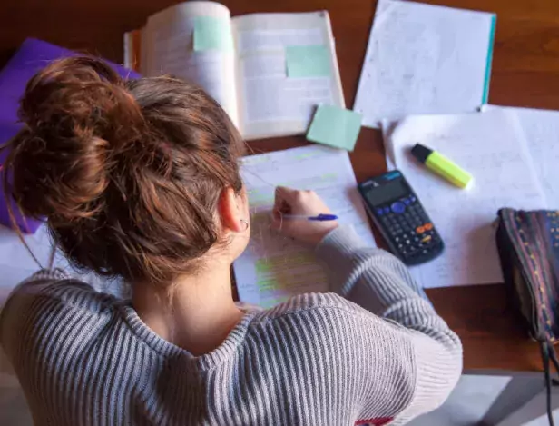 Quelles-sont-les-filières-après-le-bac-