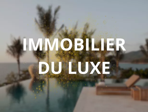 -immobilier-luxe-IBF-Chambéry