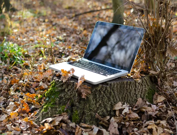 Le-nouveau-Bachelor-Communication-et-Environnement