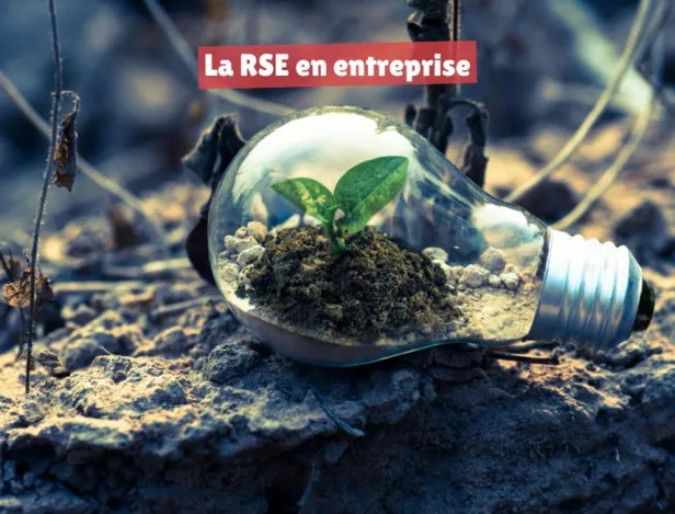 Quel-est-l’intérêt-de-la-RSE-pour-une-entreprise